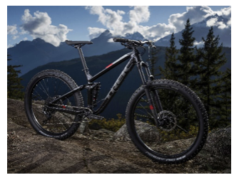 Trek Bike Prize